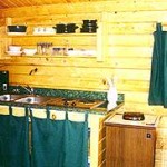 rental cabin mini-kitchen