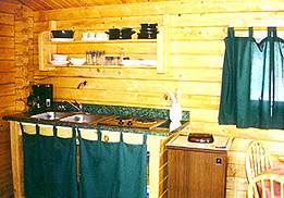 rental cabin mini-kitchen