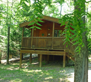 Wood Duck rental cabin