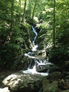 Dark Hollow Falls-Shenandoah National Park