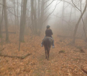 Riding in the fog