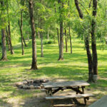 View to Shenandoah River from Osprey cabin Luray