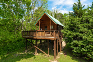 Rental Cabins On The Shenandoah River Luray Va River Cabins