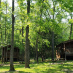 Wood Duck, Blue Heron and Ospry cabins