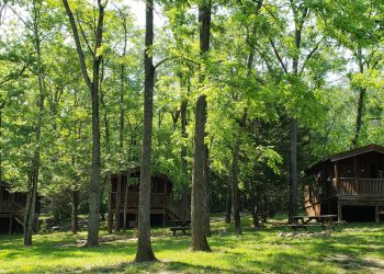 Wood Duck-Blue Heron & Osprey cabins Luray