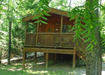 Wood Duck rental cabin