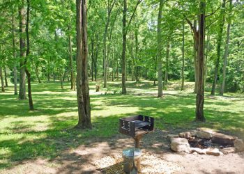 bonfire and grill area looking to River